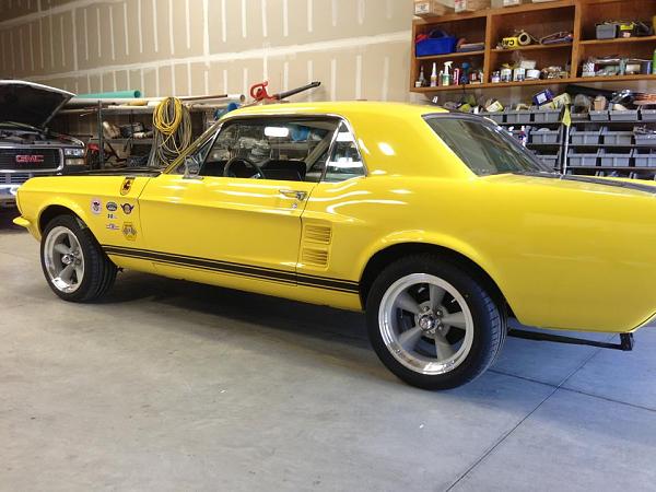 The Shelby Terlingua Mustang .-419119_10201544459958458_1537874737_n.jpg