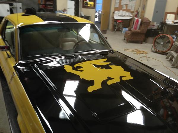 The Shelby Terlingua Mustang .-945874_10201588075968831_1847503419_n.jpg
