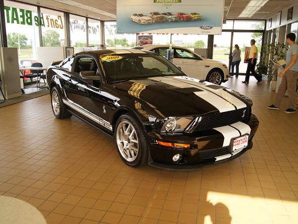 2009 Shelby is cherry-2009-shelby.jpg