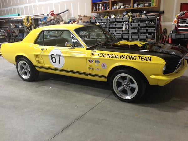 The Shelby Terlingua Mustang .-10654_10201686709074597_1253020207_n.jpg