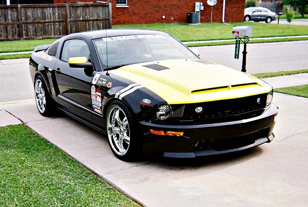 The Shelby Terlingua Mustang .-545498_382539238474663_1572112542_n.jpg