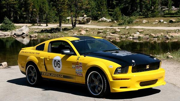 The Shelby Terlingua Mustang .-1237112_10201673619753233_1742012191_n.jpg