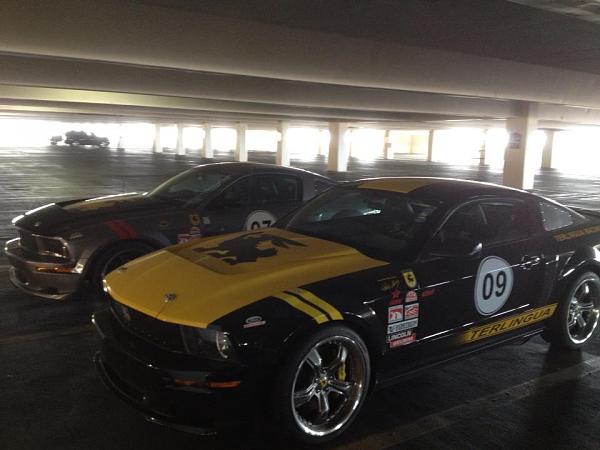 The Shelby Terlingua Mustang .-577649_10201070576505878_409020822_n.jpg