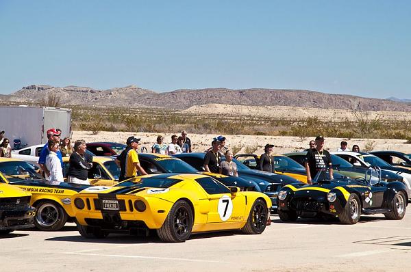 The Shelby Terlingua Mustang .-1378693_10152302673521917_1445874559_n.jpg