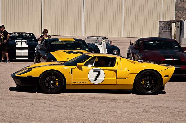 The Shelby Terlingua Mustang .-1390770_10152302673296917_93550690_n.jpg