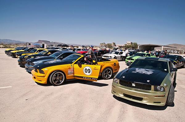 The Shelby Terlingua Mustang .-1157596_10152302673006917_1005630593_n.jpg