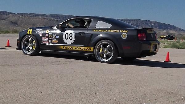 The Shelby Terlingua Mustang .-1380198_10201911004477282_714919542_n.jpg