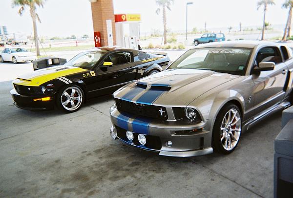 The Shelby Terlingua Mustang .-001464-r1-25-25a.jpg