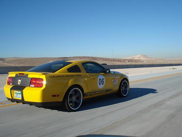 The Shelby Terlingua Mustang .-1465354_10201887427778757_570179316_n.jpg