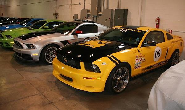 The Shelby Terlingua Mustang .-1461739_10202123776366867_1819294943_n.jpg