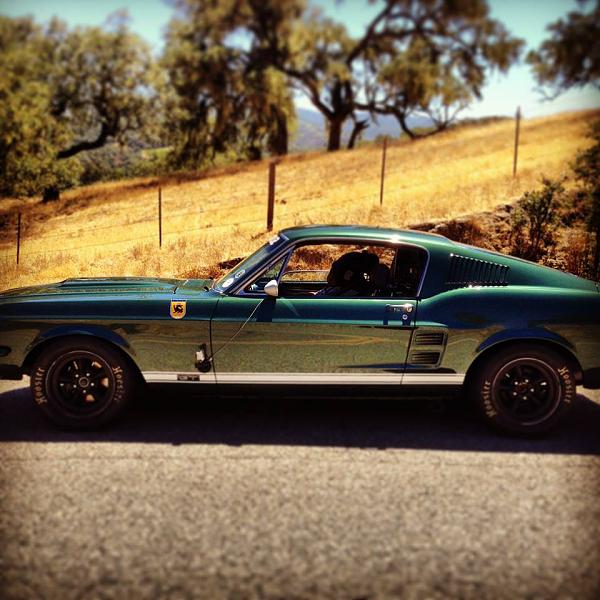 The Shelby Terlingua Mustang .-1779670_10151921757500905_1080493494_n.jpg