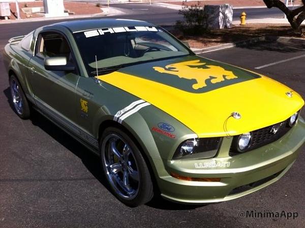 The Shelby Terlingua Mustang .-1546075_10202526500339125_634370968_n.jpg