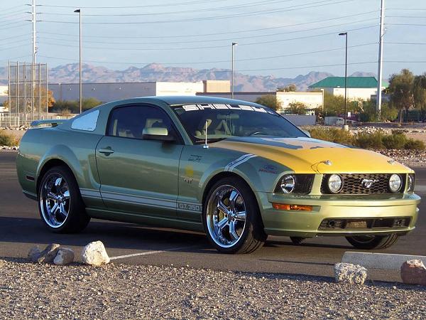 The Shelby Terlingua Mustang .-1536569_10202526939230097_744234050_n.jpg