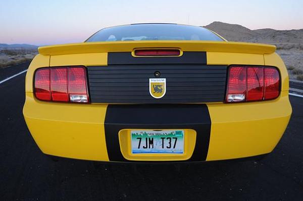 The Shelby Terlingua Mustang .-70279.jpg