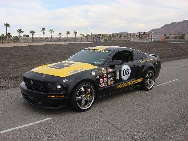 The Shelby Terlingua Mustang .-1904030_10201561261338710_1884130327_n.jpg