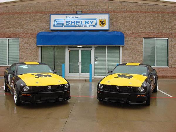 The Shelby Terlingua Mustang .-1482854_10200950115699896_391538061_n.jpg