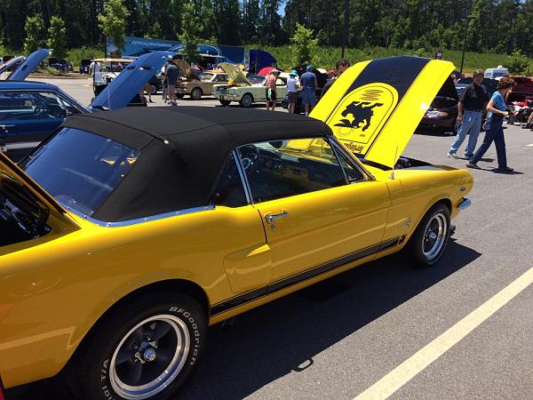 The Shelby Terlingua Mustang .-11215860_823577151067145_7652084561879474821_n.jpg