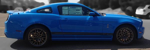 2013 Shelby at plant-8210d1337114301-color-combo-pics-photo-2-3.jpg