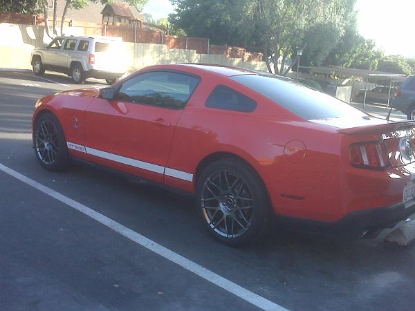 Well I did it.................-img00049.jpg.shelby-1.jpg