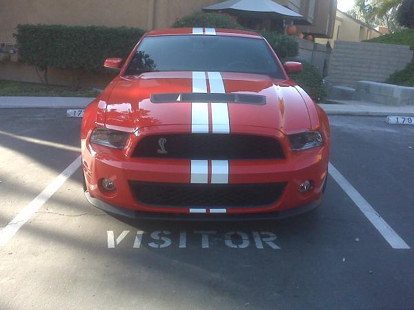 Well I did it.................-img00048.jpg.shelby2.jpg