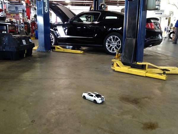 It's finally here! For real this time!-image-415465972.jpg