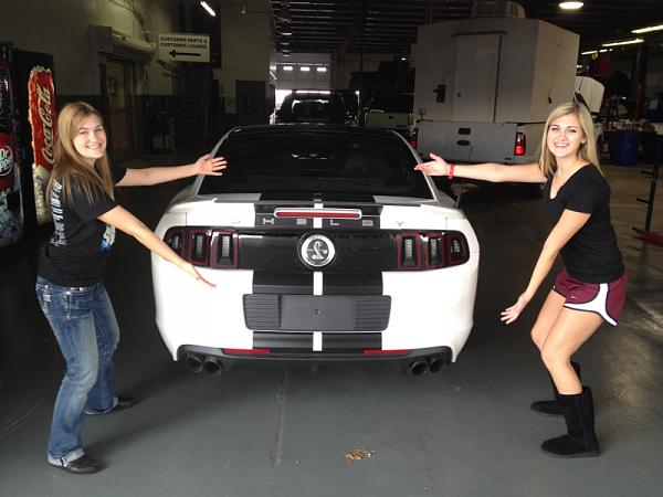 It's finally here! For real this time!-image-3535857687.jpg