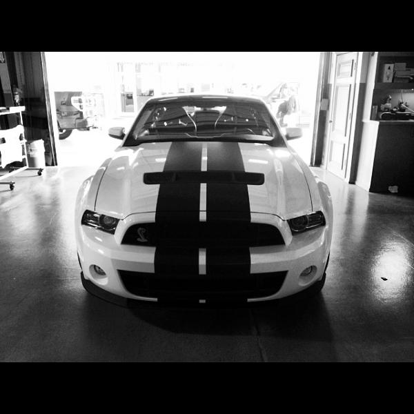 It's finally here! For real this time!-image-3558231042.jpg