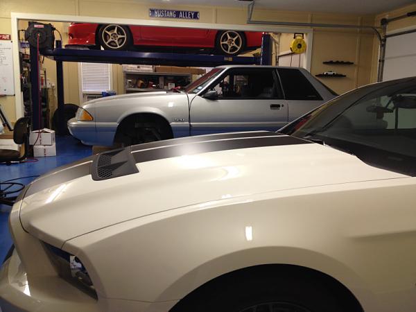 It's finally here! For real this time!-image-3851058930.jpg