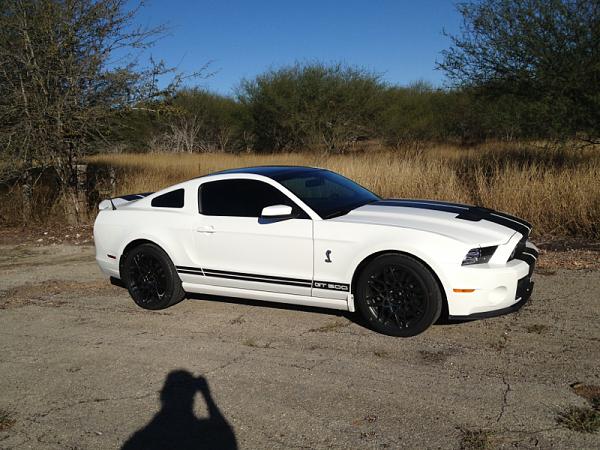 It's finally here! For real this time!-image-3857975004.jpg