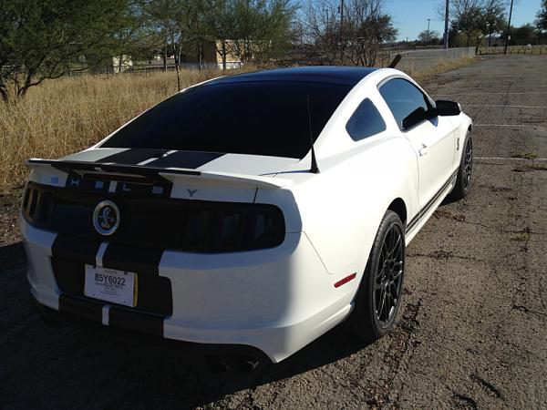 It's finally here! For real this time!-image-1361439784.jpg