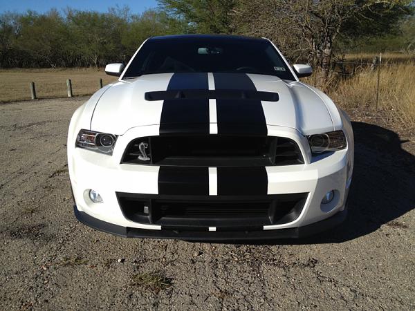 It's finally here! For real this time!-image-2176390152.jpg