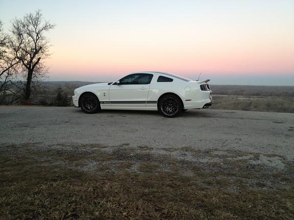 It's finally here! For real this time!-image-1660092495.jpg