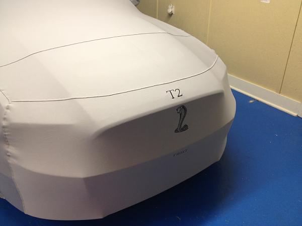 It's finally here! For real this time!-image-3815424411.jpg