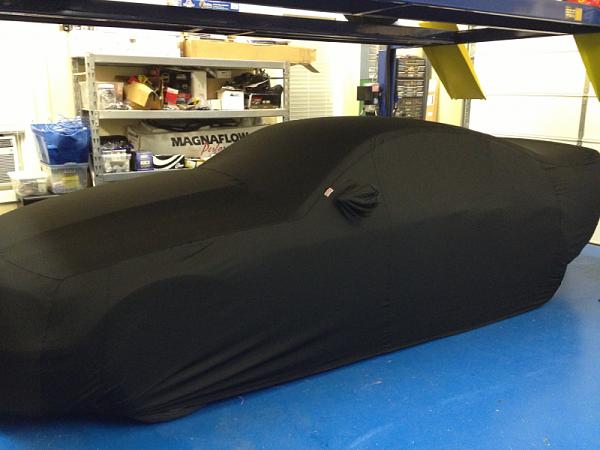 It's finally here! For real this time!-image-347036246.jpg