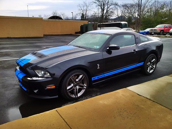 Another New Black and Blue GT500 Member-2011gt500b.jpg