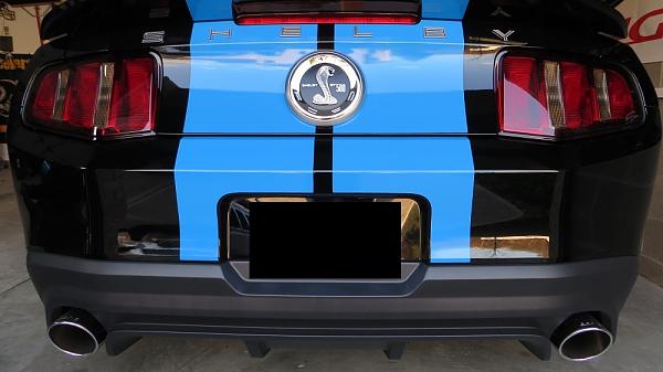 New Black &amp; Blue-4-9-13-tails6.jpg