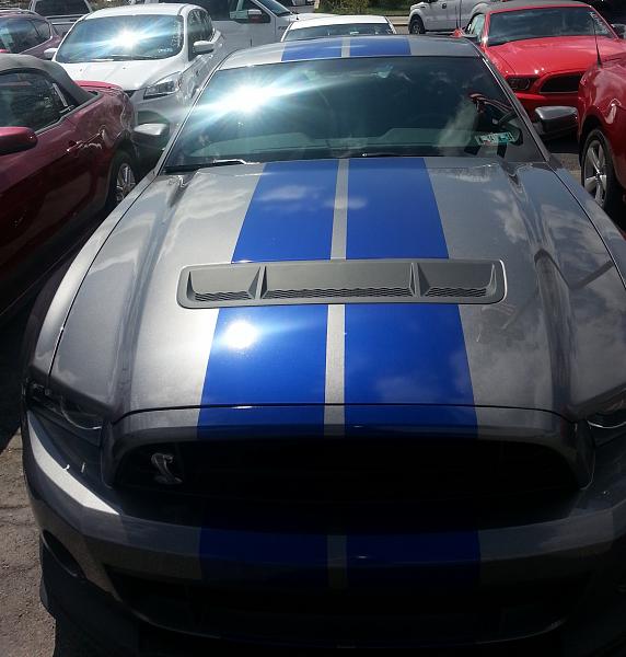 My Shelby just hit the lot!!!-shleby-04-25-2013.jpg