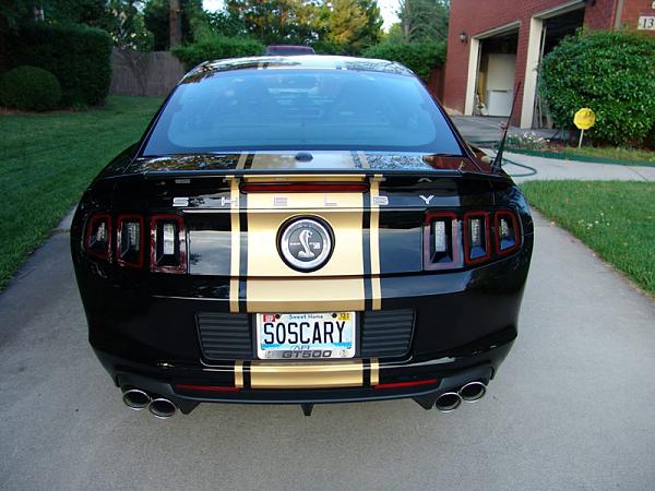 New member, order placed!-image-1820955629.jpg