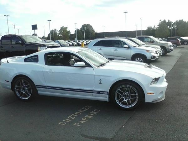 If All Goes Well...2014 GT500-shelby-1.jpg