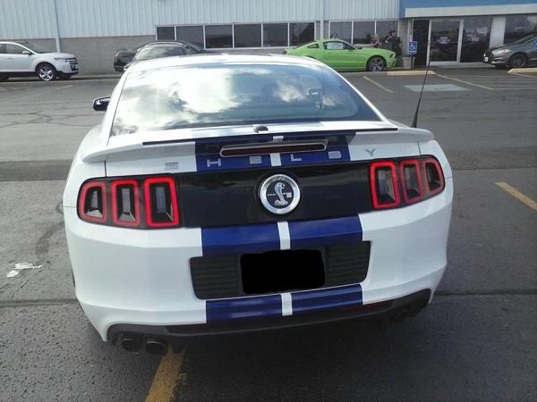 If All Goes Well...2014 GT500-shelby-2.jpg