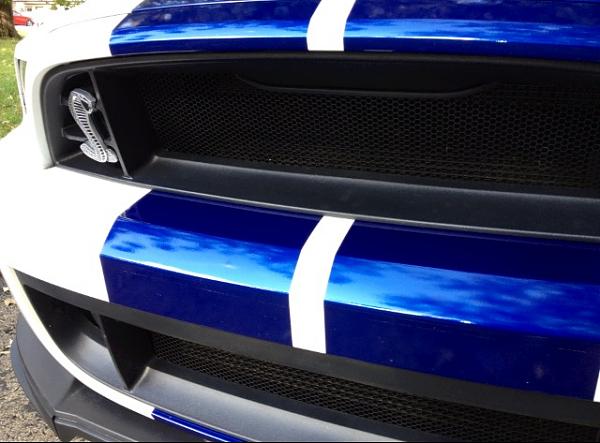 One of the reasons I didn't buy a GT500-image-549938932.jpg