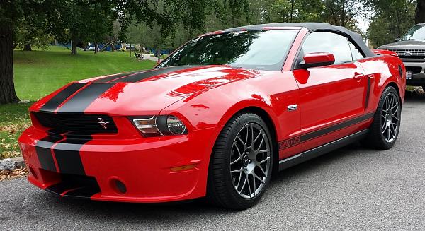 '11 Shelby GTS convertible-qc-picnic-2-2-.jpg