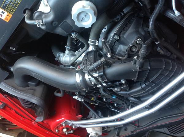 '11 Shelby GTS convertible-20140120_174928491_ios.jpg