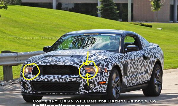 GT500 Grille, Interior &amp; Decklid Badge-gt500.jpg