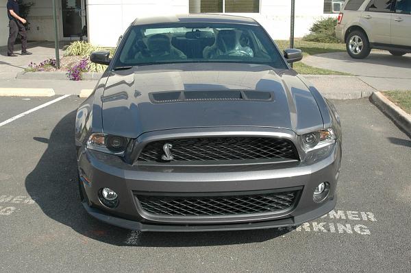 2010 GT500 Owner Roll Call-015.jpg