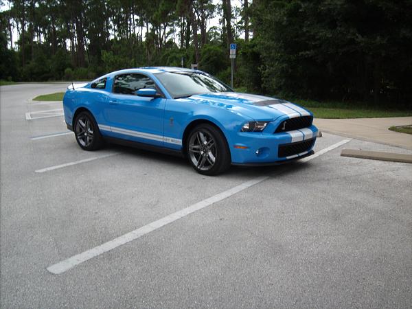 2010 GT500 Owner Roll Call-2010-poetry-motion-003.jpg