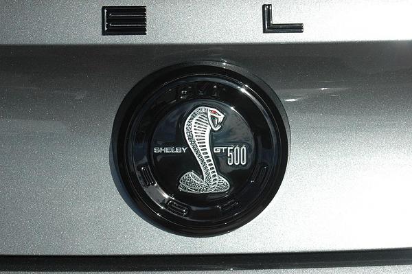 Blacked out emblems....pics-shelbyemblems-015.jpg