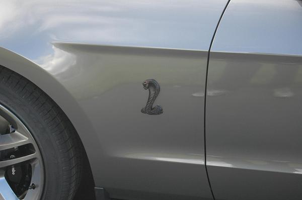 Blacked out emblems....pics-shelby092909-024.jpg