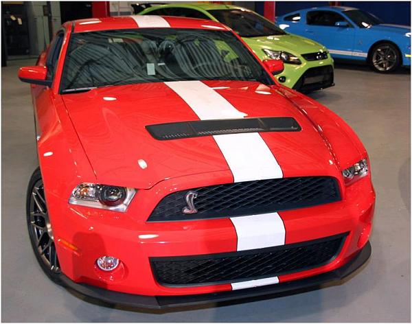 SVT Perf Package Stipe Modifications-shelby1stripe.jpg