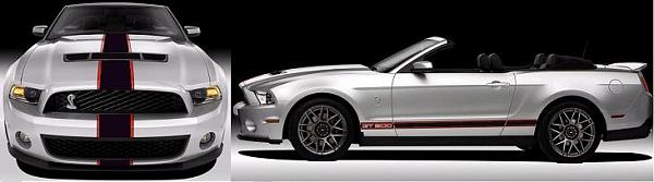 SVT Perf Package Stipe Modifications-shelby1stripe-black2.jpg
